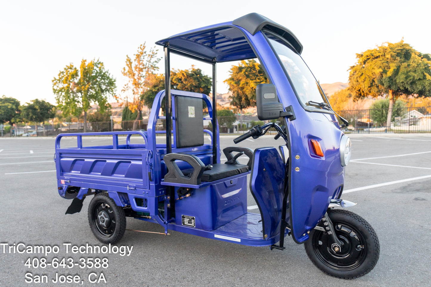 TriCampo electric haul tricycle -- Small