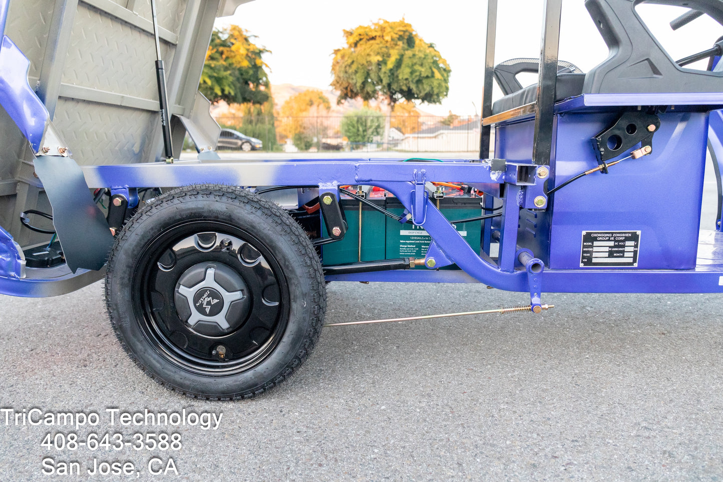 TriCampo electric haul tricycle -- Small